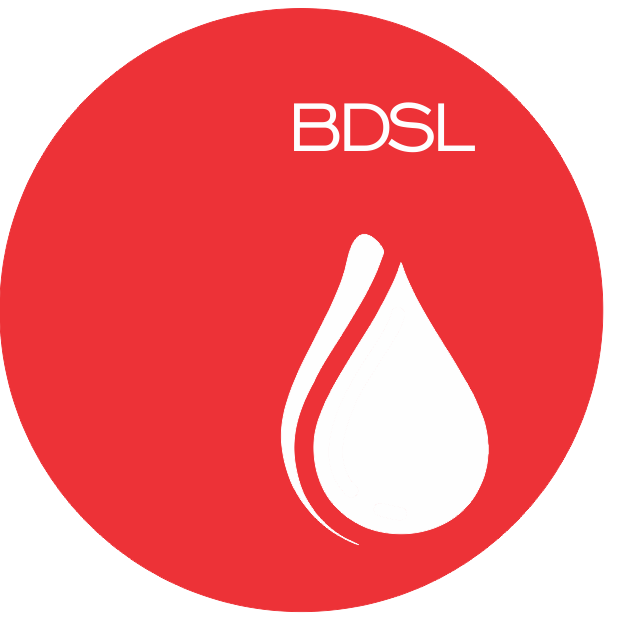 Bless & Den Services |